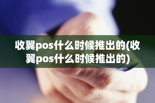 收翼pos什么时候推出的(收翼pos什么时候推出的)