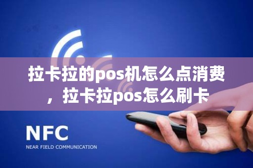 拉卡拉的pos机怎么点消费，拉卡拉pos怎么刷卡