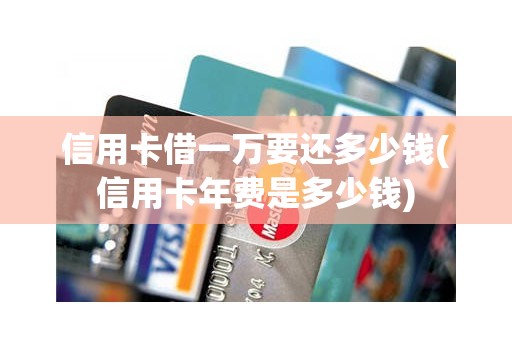 信用卡借一万要还多少钱(信用卡年费是多少钱)