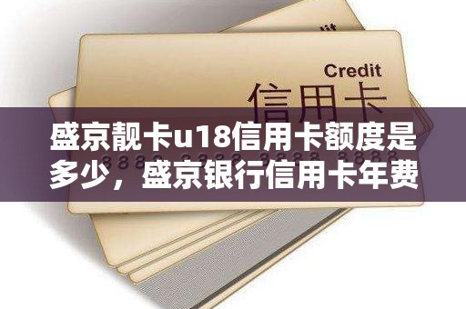 盛京靓卡u18信用卡额度是多少，盛京银行信用卡年费