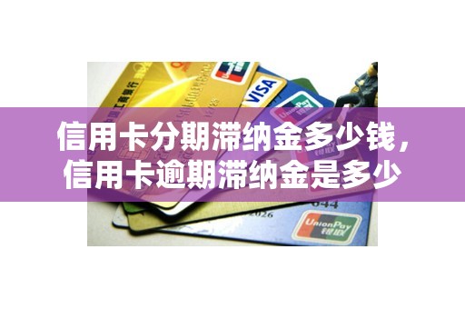 信用卡分期滞纳金多少钱，信用卡逾期滞纳金是多少