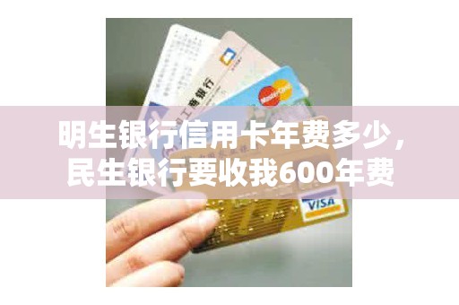 明生银行信用卡年费多少，民生银行要收我600年费
