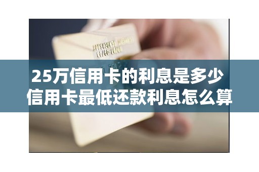 25万信用卡的利息是多少 信用卡最低还款利息怎么算的