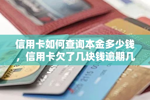 信用卡如何查询本金多少钱，信用卡欠了几块钱逾期几年