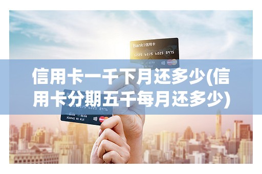 信用卡一千下月还多少(信用卡分期五千每月还多少)