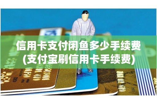 信用卡支付闲鱼多少手续费(支付宝刷信用卡手续费)