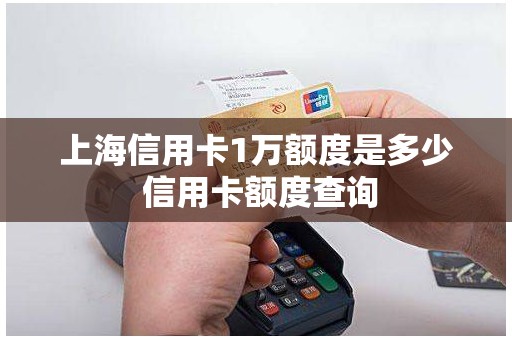 上海信用卡1万额度是多少 信用卡额度查询