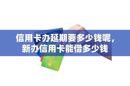 信用卡办延期要多少钱呢，新办信用卡能借多少钱