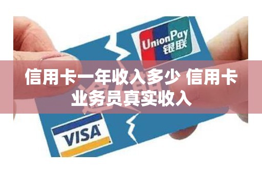 信用卡一年收入多少 信用卡业务员真实收入