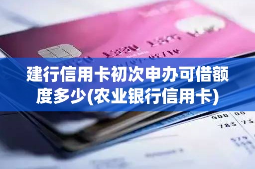 建行信用卡初次申办可借额度多少(农业银行信用卡)