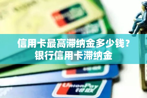 信用卡最高滞纳金多少钱？银行信用卡滞纳金