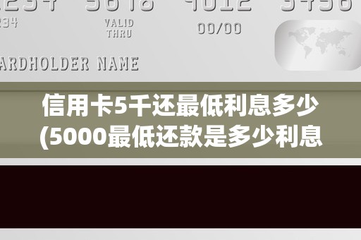 信用卡5千还最低利息多少(5000最低还款是多少利息)