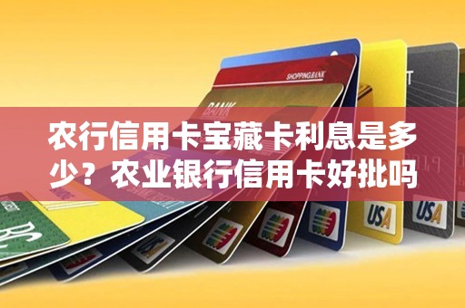 农行信用卡宝藏卡利息是多少？农业银行信用卡好批吗