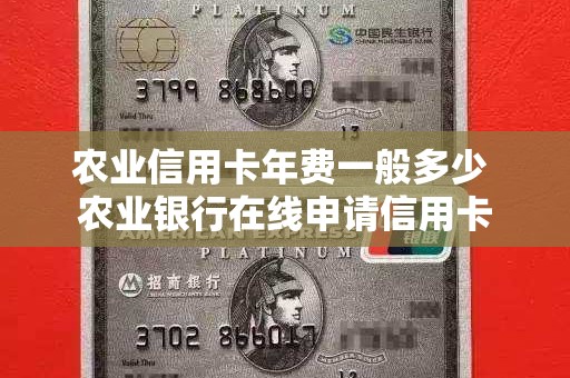 农业信用卡年费一般多少 农业银行在线申请信用卡