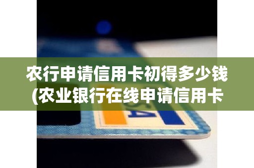 农行申请信用卡初得多少钱(农业银行在线申请信用卡)