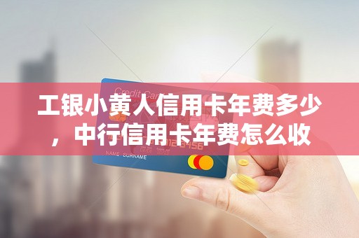 工银小黄人信用卡年费多少，中行信用卡年费怎么收