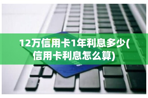 12万信用卡1年利息多少(信用卡利息怎么算) 12万信用卡1年利息多少(信用卡利息怎么算)