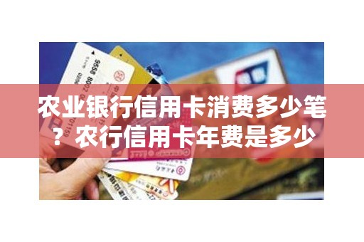 农业银行信用卡消费多少笔？农行信用卡年费是多少