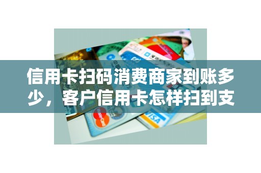 信用卡扫码消费商家到账多少，客户信用卡怎样扫到支付宝里