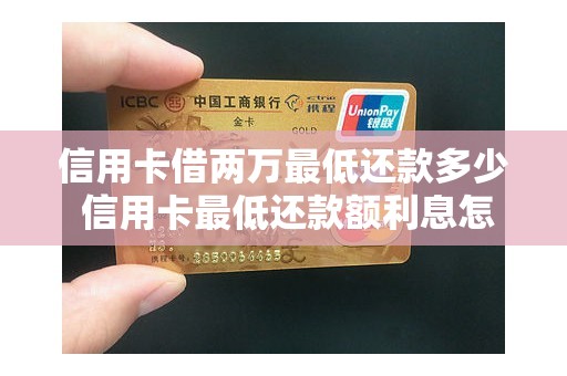 信用卡借两万最低还款多少 信用卡最低还款额利息怎么算