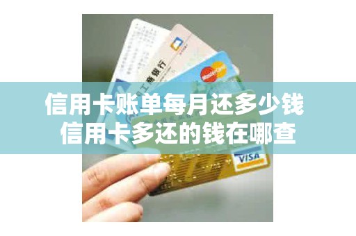 信用卡账单每月还多少钱 信用卡多还的钱在哪查