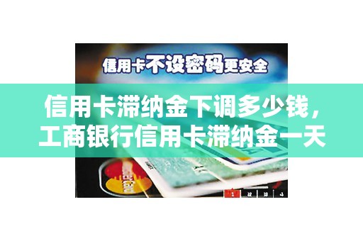 信用卡滞纳金下调多少钱，工商银行信用卡滞纳金一天多少钱