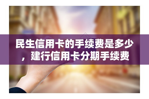 民生信用卡的手续费是多少，建行信用卡分期手续费