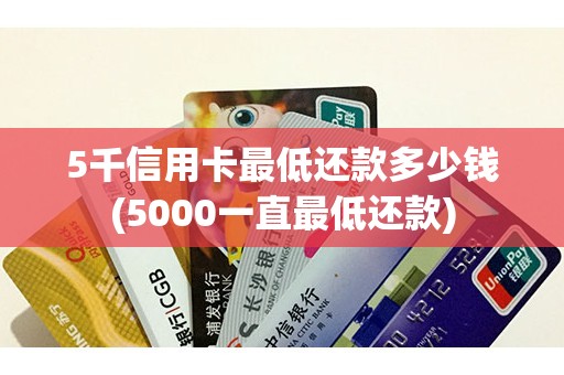 5千信用卡最低还款多少钱(5000一直最低还款)