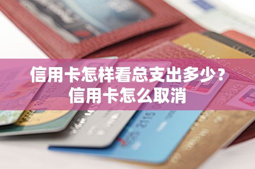 信用卡怎样看总支出多少？信用卡怎么取消