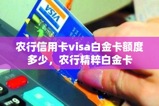 农行信用卡visa白金卡额度多少，农行精粹白金卡