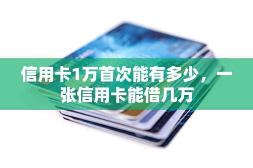 信用卡1万首次能有多少，一张信用卡能借几万