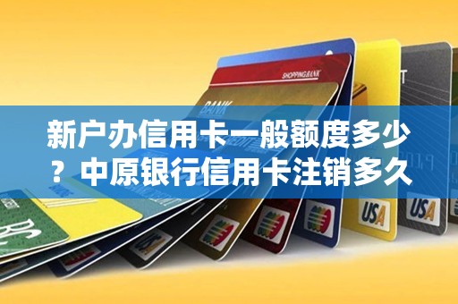 新户办信用卡一般额度多少?中原银行信用卡注销多久算新用户 新户办信用卡一般额度多少?中原银行信用卡注销多久算新用户