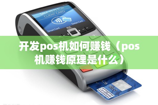 开发pos机如何赚钱（pos机赚钱原理是什么）