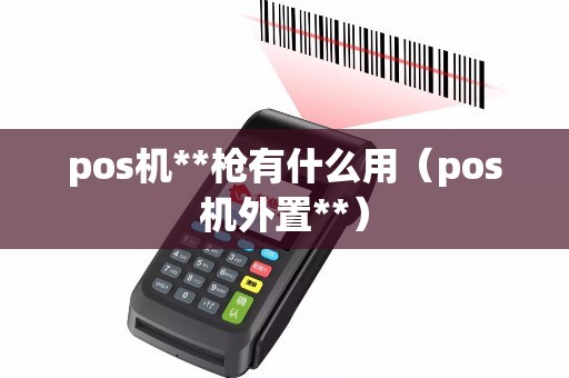 pos机**枪有什么用（pos机外置**）