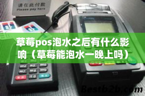 草莓pos泡水之后有什么影响(草莓能泡水一晚上吗) 草莓pos泡水之后有什么影响(草莓能泡水一晚上吗)