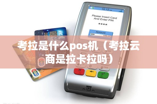 考拉是什么pos机（考拉云商是拉卡拉吗）