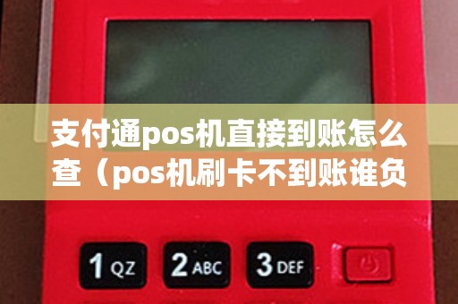 支付通pos机直接到账怎么查（pos机刷卡不到账谁负责）