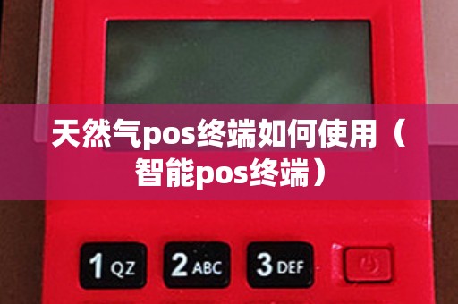 天然气pos终端如何使用（智能pos终端）