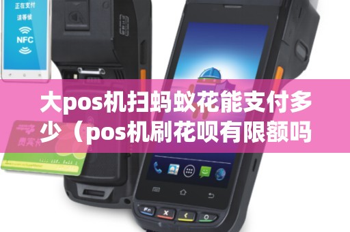 大pos机扫蚂蚁花能支付多少(pos机刷花呗有限额吗) 大pos机扫蚂蚁花能支付多少(pos机刷花呗有限额吗)