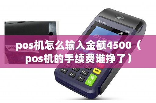 pos机怎么输入金额4500（pos机的手续费谁挣了）