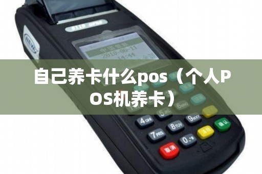 自己养卡什么pos（个人POS机养卡）