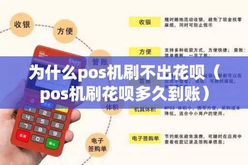 为什么pos机刷不出花呗（pos机刷花呗多久到账）