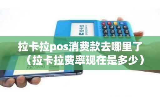 拉卡拉pos消费款去哪里了（拉卡拉费率现在是多少）