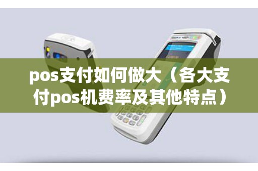 pos支付如何做大（各大支付pos机费率及其他特点）