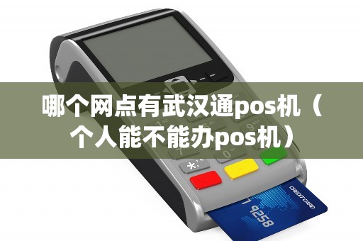 哪个网点有武汉通pos机（个人能不能办pos机）