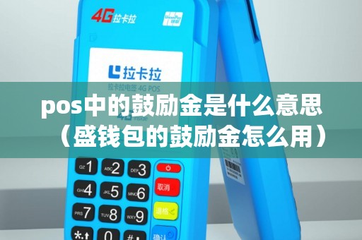 pos中的鼓励金是什么意思（盛钱包的鼓励金怎么用）