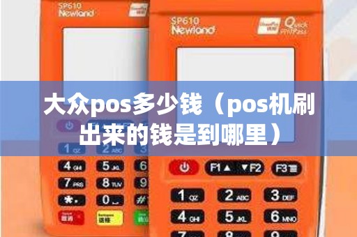 大众pos多少钱（pos机刷出来的钱是到哪里）