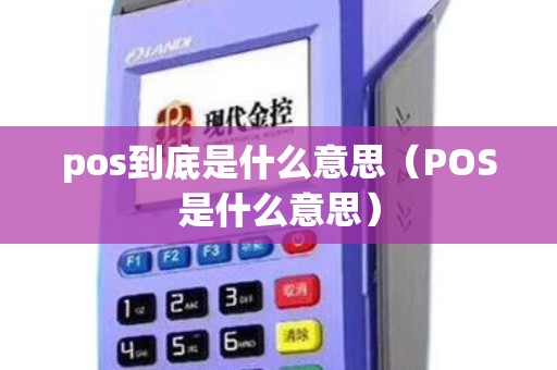 pos到底是什么意思（POS是什么意思）