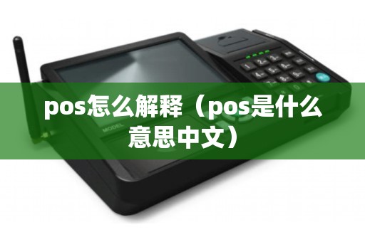 pos怎么解释（pos是什么意思中文）