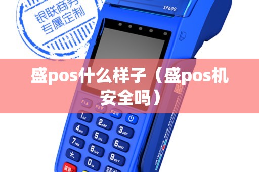 盛pos什么样子（盛pos机安全吗）